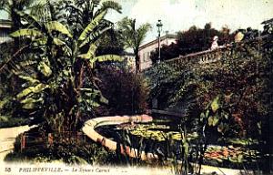 Philippeville - Square  Carnot